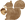 ぶるの樹について
